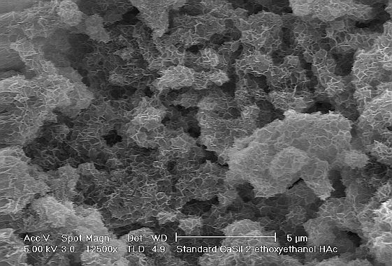 Image of nanostructured calcium silicate